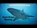 Shark Dream Meaning