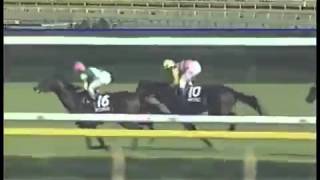 1997 Principal Stakes Silence Suzuka