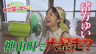 【ゴジカル！】週末おでかけ！ここえ～で～★・究極のわらび餅＆神山町を暮らすように旅するゲストハウス（神山町）