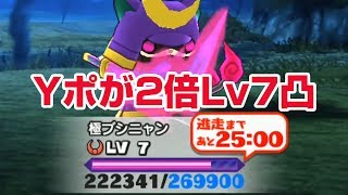 【ぷにぷに攻略】Ｙポイントが増えるあれ使って極ブシニャンLv7 ドリンク破産！おはじきバトル