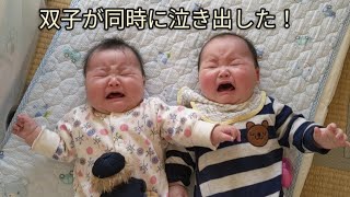 双子の日常：急に同時に泣き出す謎