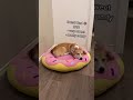 Rating My Dog's Sleeping Positions | Tofu the Corgi | #shorts