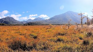 Early Autumn in Nikko National Park