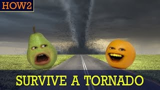 HOW2: How to Survive a Tornado!