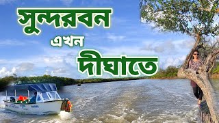 Bichitrapur/Bichitrapur Digha/দীঘা বিচিত্রপুর/Bichitrapur Mangrove Sanctuary/সুন্দরবন এখন দীঘার কাছে