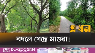 সামাজিক বৃক্ষ রোপণে বদলে গেছে অনেক মানুষের ভাগ্য | Magura Tree | Ekhon TV