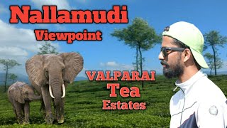 Nallamudi Viewpoint Valparai | Amazing Viewpoint Tea Estates Valparai