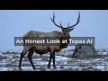 An Honest Look at Topaz AI