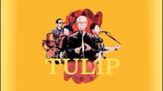 TULIPラストLIVE