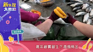 【預告】寒冬冷風中摸黑捕魚 體驗手工烏魚子製作 @NewTaiwanexperience