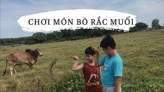 Cuối tuần ra vườn, cò trắng bay ngợp trời|Hai Hón SG| #bophoveque #2