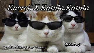 Enercii X Katula Katula (speed up)