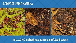 Composting using kambha - வீட்டிலேயே இயற்கை முறையில் உரம் தயாரிப்பது எப்படி?