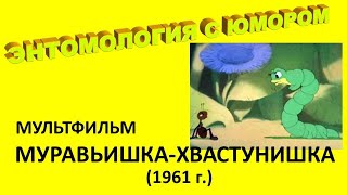 Мультфильм 