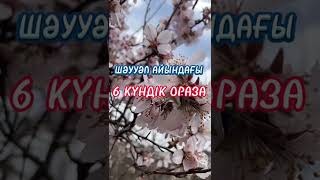 ШӘУУӘЛ АЙЫ, 1 жылдық сауап