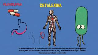 CEFALEXINA | PARA QUÉ SIRVE?