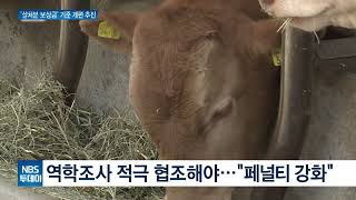 가축살처분 보상금 기준 개편 추진…위반농가 감액비율 상향