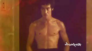 Bruce Lee Video Channel 2020