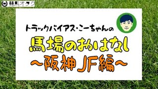 【2021阪神JF】阪神芝1600ｍの特徴と馬場傾向（トラックバイアス）