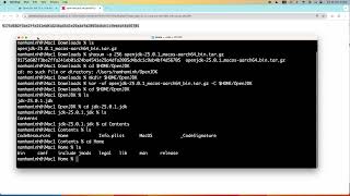 Download and Install OpenJDK 25 on macOS