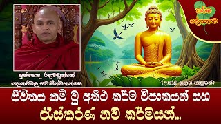 Ven Radawadunne Gnanawimala Thero | 2024-02-14 | 4:00 PM (අතීත කර්ම විපාක සහ රැස්කරණ නව කර්මයන්...)