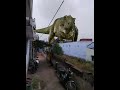 Jurassic world / green screen dinosurs / T Rex dinosurs / green screen dinosurs