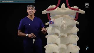 Surgical Techniques: C2 Pars Screw Placement