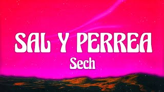 Sech - Sal y Perrea [letra lyrics]