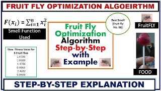 Fruit Fly Optimization Algorithm |Step-by-Step| With Example ~xRay Pixy