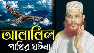 আবাবিল পাখির ঘটনা।। আল্লামা দেলোয়ার হোসেন সাঈদি Dalwar Hossain Saidi 2025