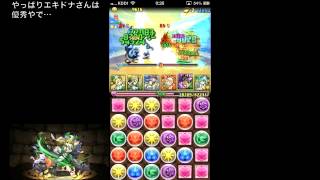 【パズドラ】フレイヤちゃんと行く超地獄巡り【ノア 降臨編】フレイヤ×アルテミス 木?242 ノーコン