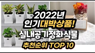 광고 2022년 인기대박상품 실내공기정화식물 추천 판매순위 top10