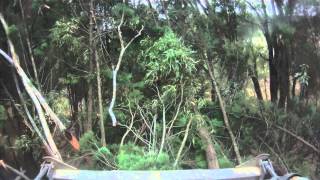 Tree Mulching,Inside the Cab of Tobiah Tree Mulching Service's FAE PT 400  .MOV