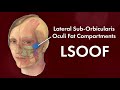 Face the Fats. Plastic Surgery Hot Topics with Rod J. Rohrich, MD