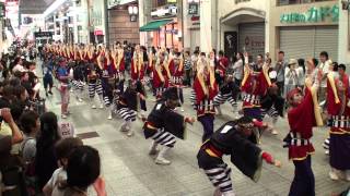 踊っこひおか　～2012高知よさこい祭り・全国大会(帯屋町筋会場)