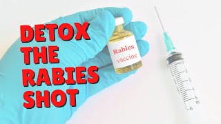 Detoxing Cats From The Rabies Shot | Two Crazy Cat Ladies