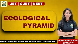 Ecological pyramid class - 1  (by - hiral soni ma'am)