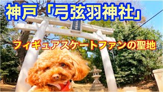 フィギュアスケートファンの聖地「弓弦羽神社」に愛犬と参拝【トイプードルのサラ】