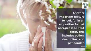 Does An Air Purifier Help With Pet Allergies