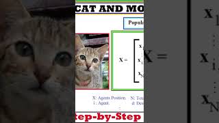 Cat and Mouse Algorithm #shorts @RitikaxRayPixy