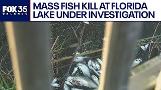 Mass fish kill at Florida lake under investigation