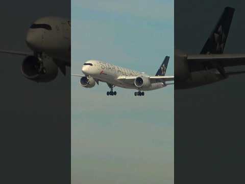 Air China A350 (B-308M) Touching Down On 24R At Los Angeles Airport. # ...