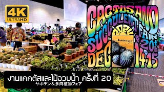 Thailand 20th Cactus \u0026 Succulents Fair 2024 งานแคคตัสและไม้อวบน้ำ ครั้งที่ 20 2567 Bangkok