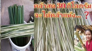 ขูดคล้าสด​ 30​ กิโลแห้งแล้วเหลือกี่กิโลกัน... ว้าว😱😱@PPAChannelPURIM