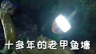 【戶外捕魚VLOG】花2000包下一個阿姨荒廢了十多年的老甲魚塘，看看到底能不能回本