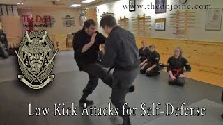 Kicks for Defense and Distraction - The Dojo Martial Arts
