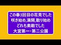 大宮公園の桜 埼玉・大宮区 2022）