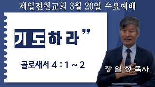 제일전원교회 3월 20일 수요예배(기도하라)