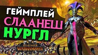 Геймплей Слаанеш и Нургл Total War Warhammer 3 - битва на русском