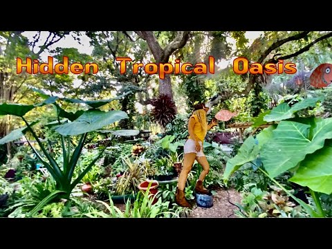 BACKYARD GARDEN| Old Man TRANSFORMS Yard Into TROPICAL OASIS | HIDDEN ...